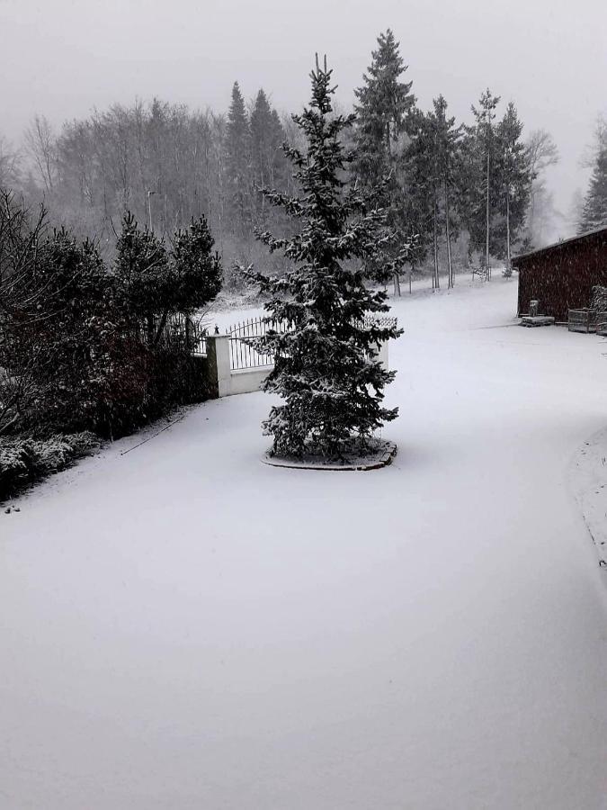 Ferienwohnung Im Westerwald Mengerskirchen ภายนอก รูปภาพ